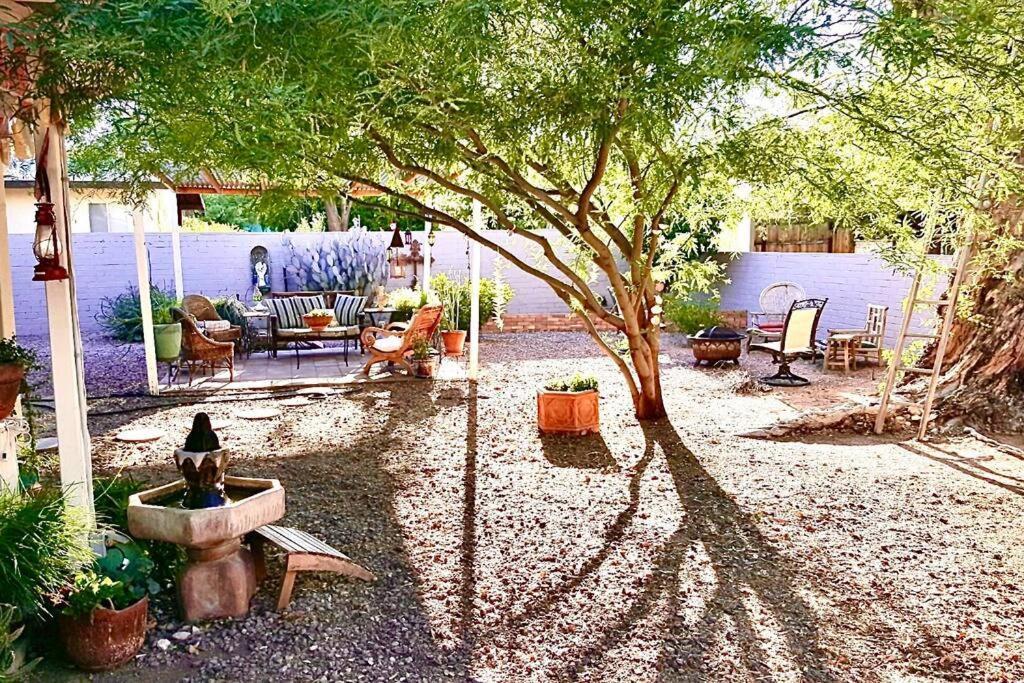 Cute Peaceful Tiny House Getaway W Backyard - Low Summer Rates! Tucson Exteriör bild